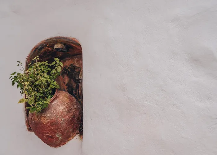 Historical Santa Croce Villa *